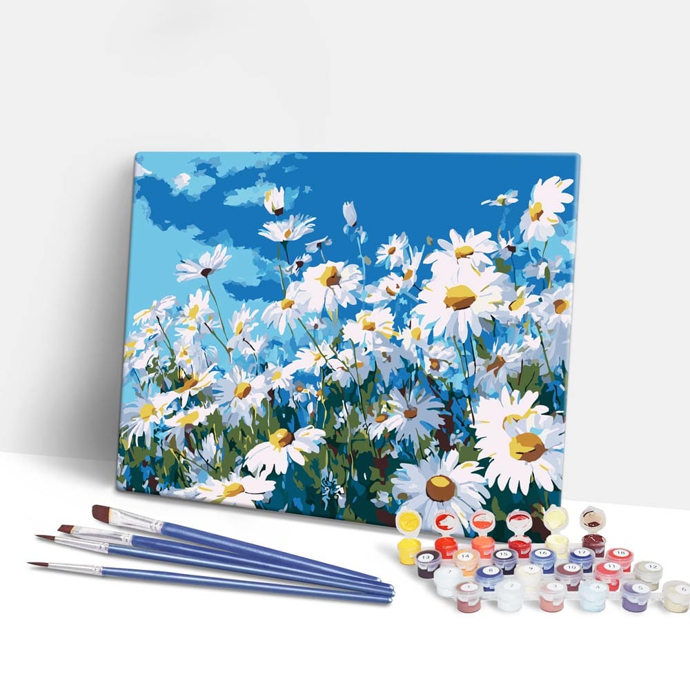 Painting By Numbers Kits 15.7" x 19.6" (40 x 50cm) Summer Daisies - Paint By Numbers Kit