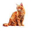 Animal Jigsaw Puzzle > Wooden Jigsaw Puzzle > Jigsaw Puzzle Ginger Cat - Jigsaw Puzzle